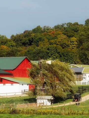 Amish farm and buggy representing the origins of the Amish.