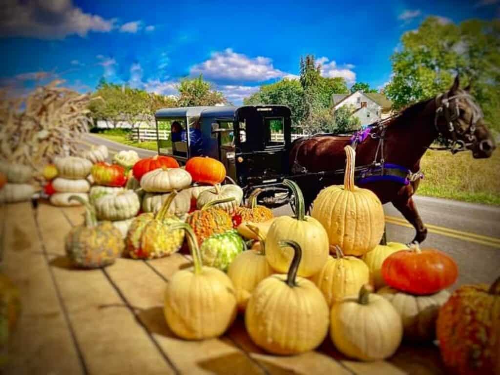 a horse and buggy passing by a wagon load of pumpkins.