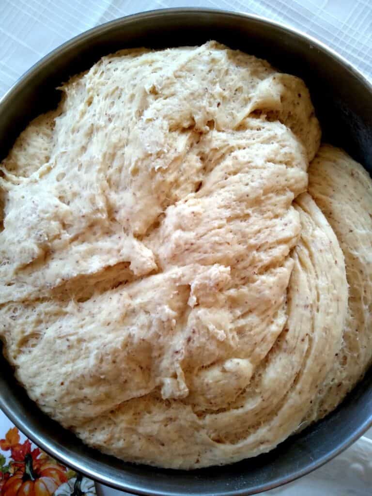 amish bread dough