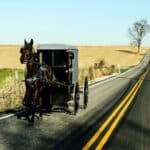 Amish buggy on the road