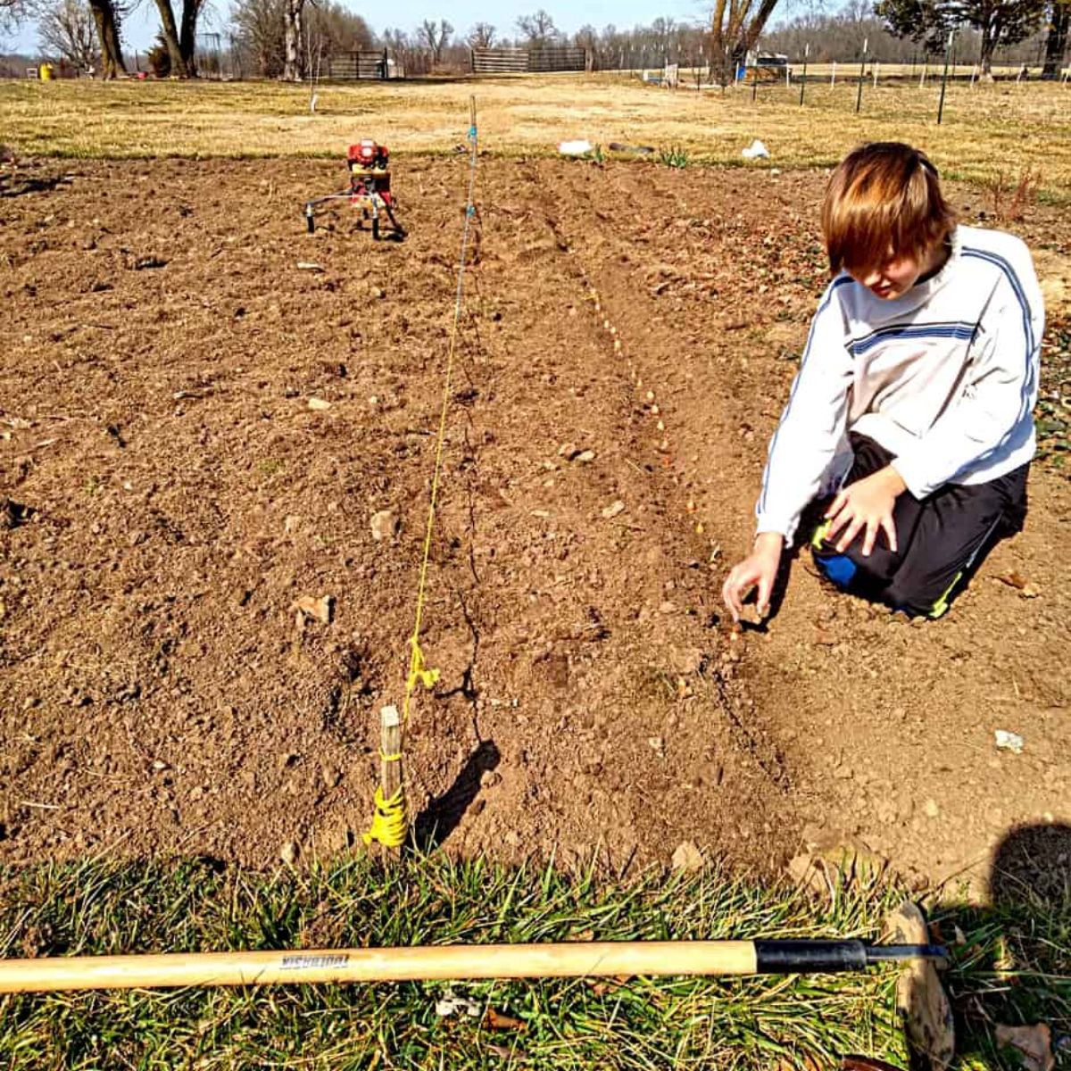 Gardening with Amish mom