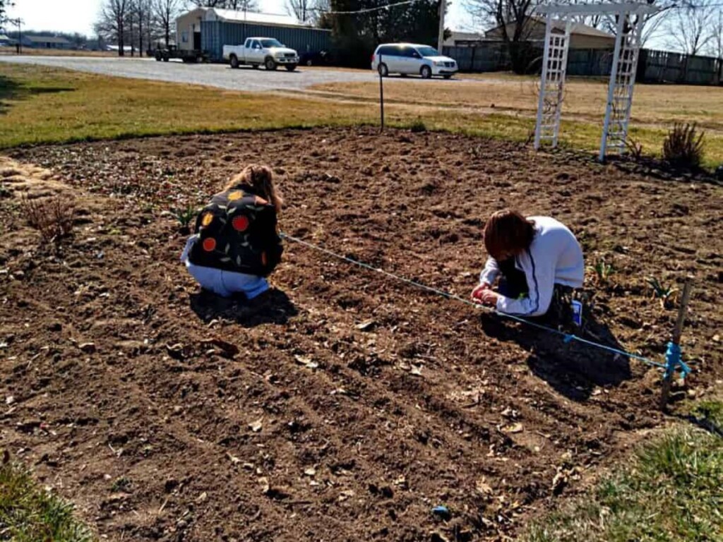 kids planting seeds in the garden.