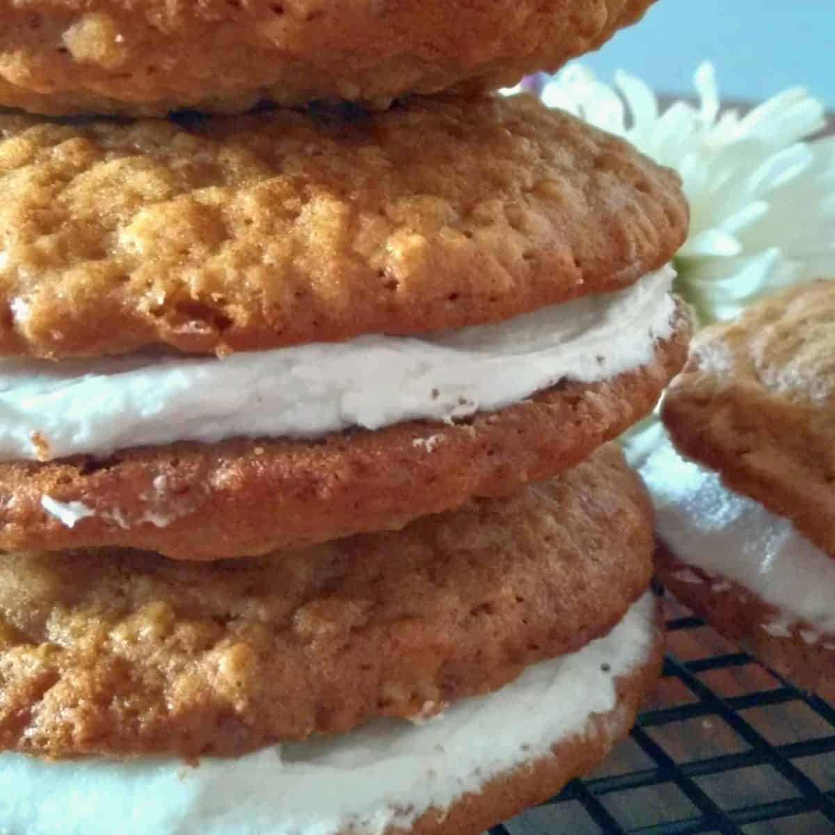 close-up of Amish oatmeal whoopie pies.