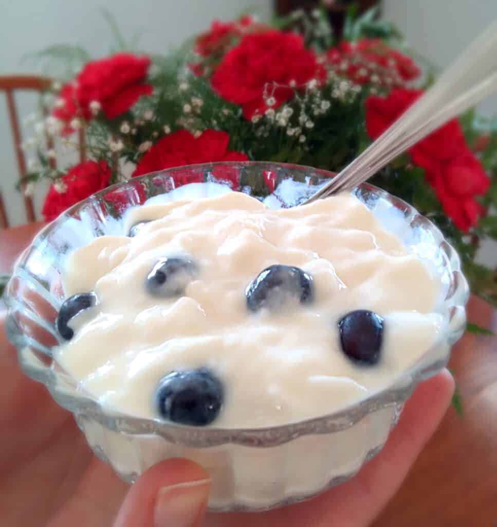 vanilla yogurt in a dish with blueberries.