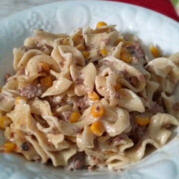 a dish of beef and noodle casserole.