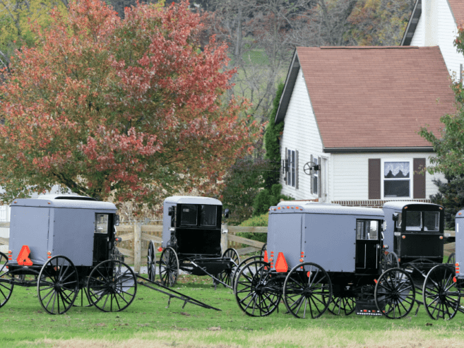 several Amish buggies sitting in the yard by an Amish house.