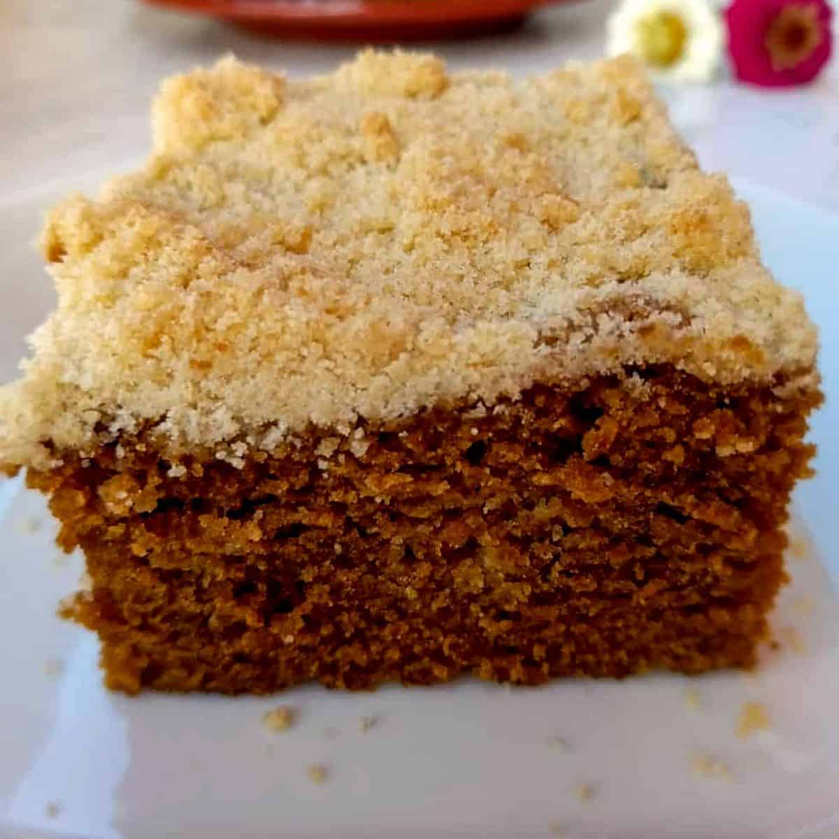 a slice of Amish shoofly cake with crumbs on a plate.