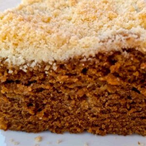 a close-up look at a slice of Amish molasses cake with crumb topping.
