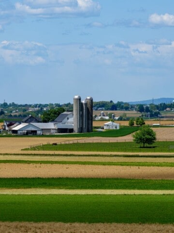 Farm in the country
