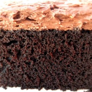 a close-up of a slice of chocolate cake with chocolate frosting.