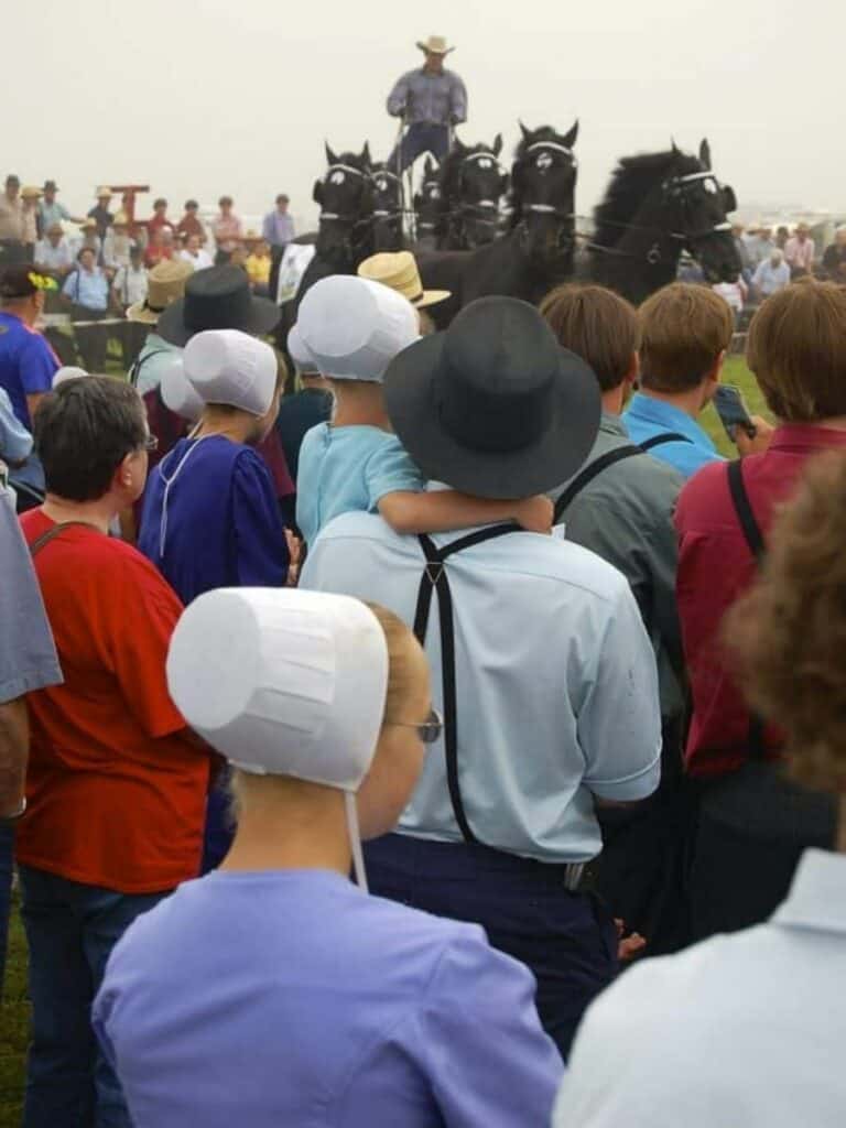 Amish people watching horses, some women with head coverings in the crowd.