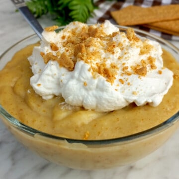 bowl-of-Amish-graham-cracker-pudding-topped-with-whipped-cream-and-cracker-crumbs-