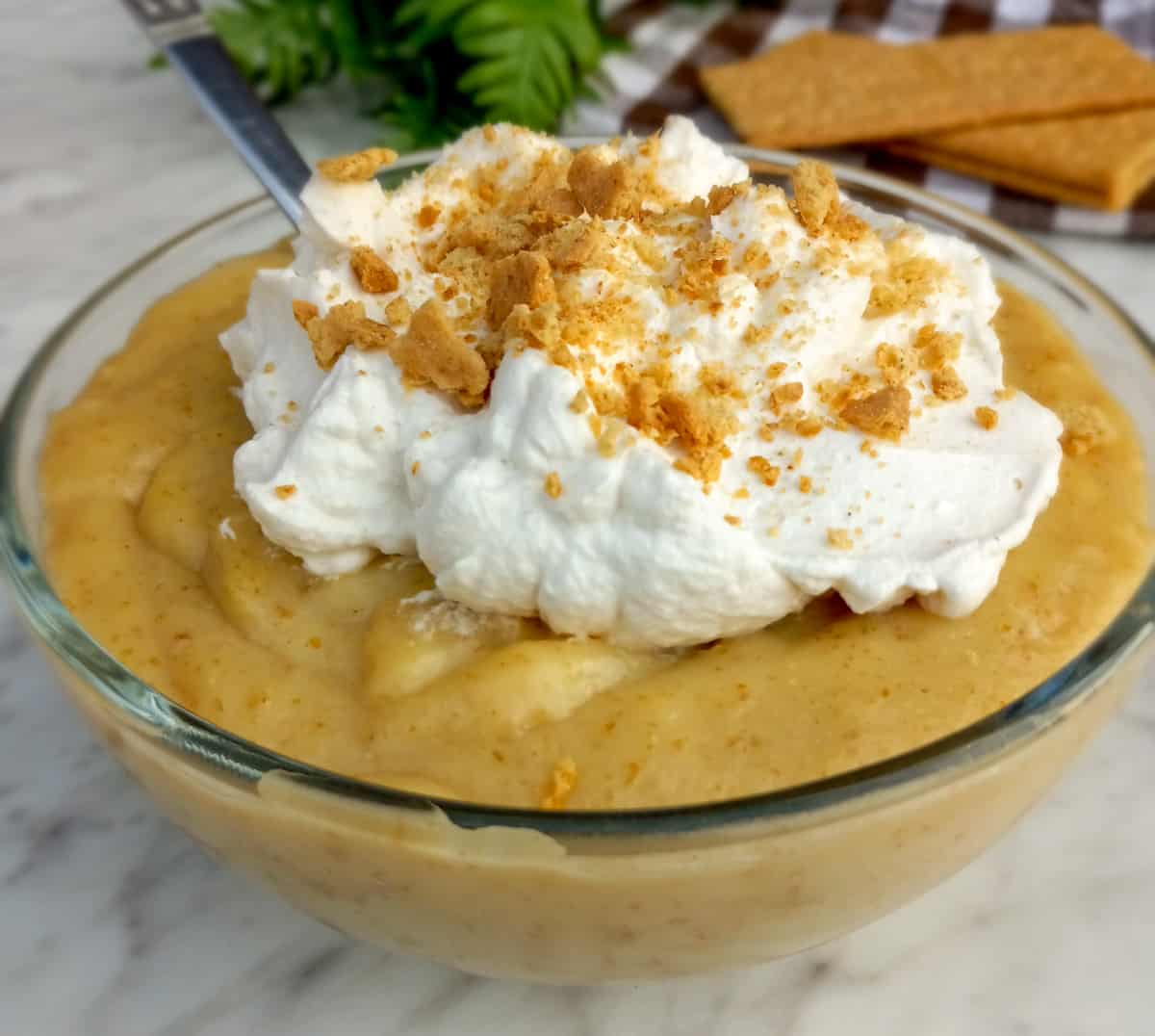 bowl-of-Amish-graham-cracker-pudding-topped-with-whipped-cream-and-cracker-crumbs-