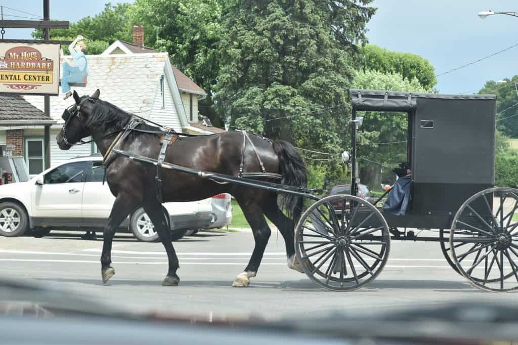 Amish horse and buggy on the street