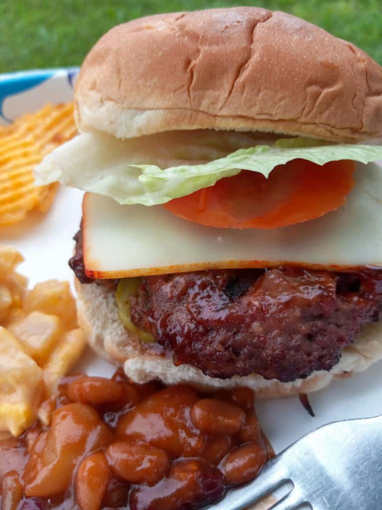 grilled barbecued hamburger on a plate with baked beans potato salad and chips
