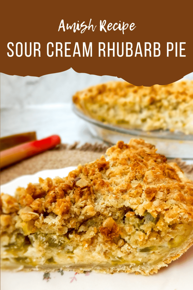 Sour Cream Rhubarb Pie With Crumb Topping (Amish) - Amish Heritage