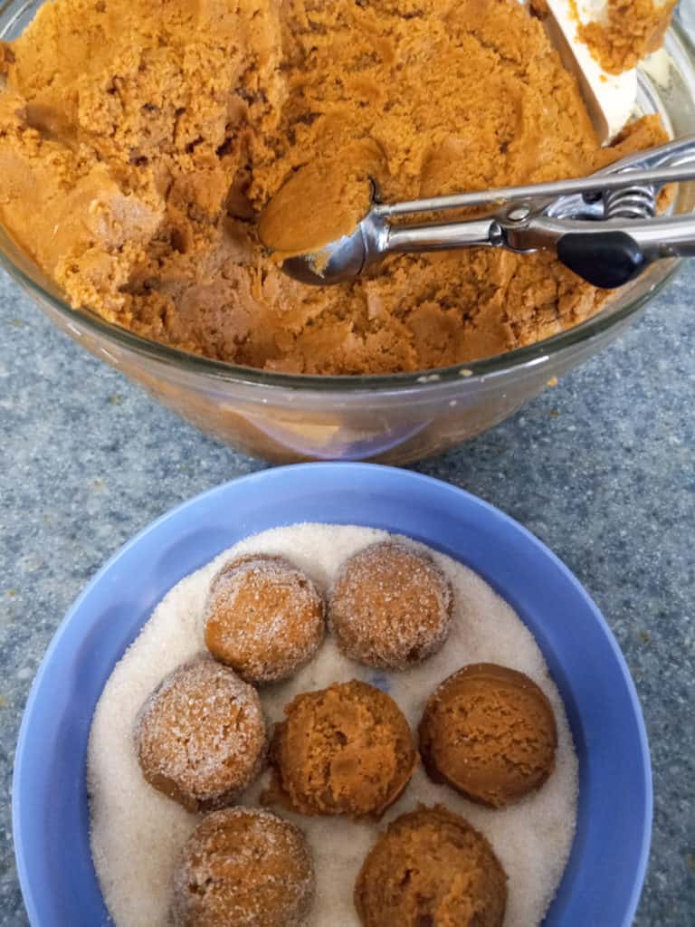 molasses cookie dough balls get dipped in sugar