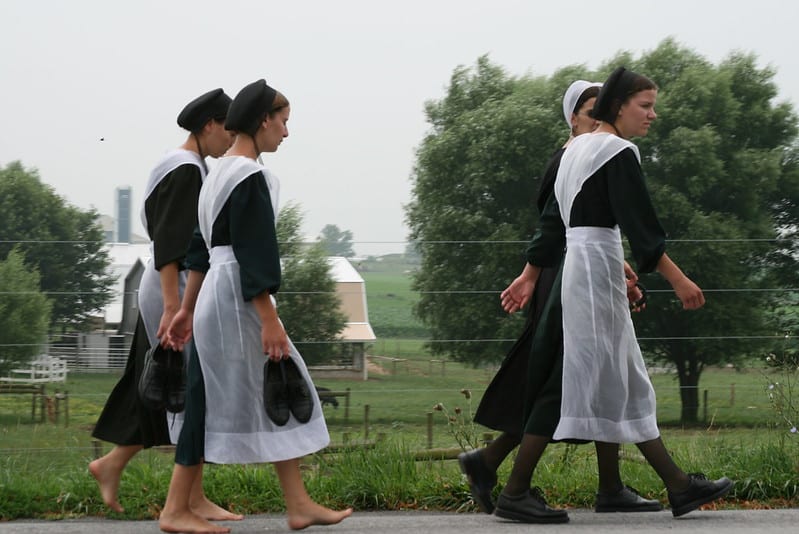 Amish ladies