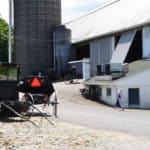 Amish buggies at the farm
