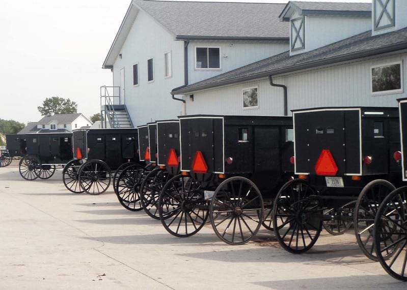 Amish buggies lined up