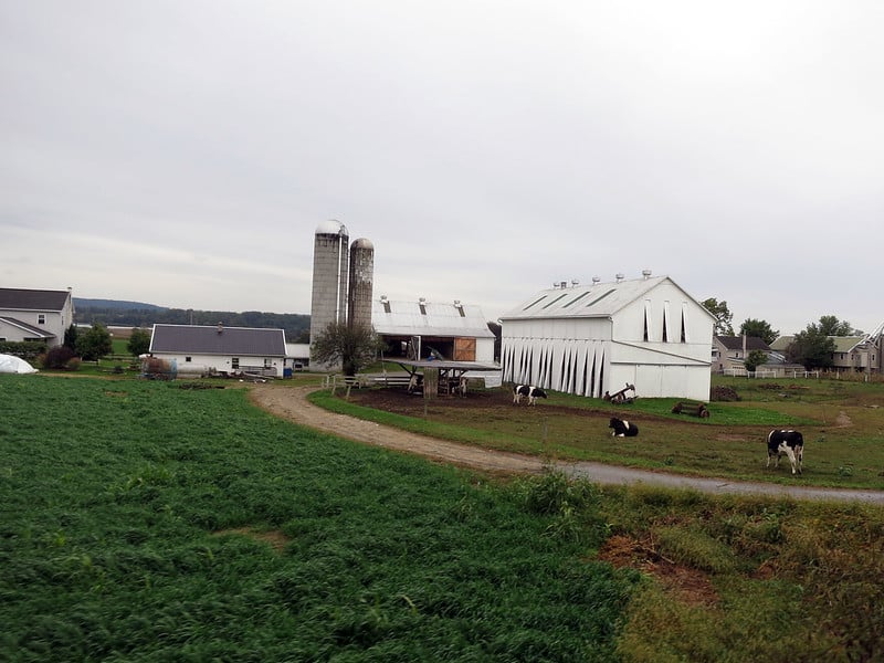 Amish-homestead-farm-and-
fields.