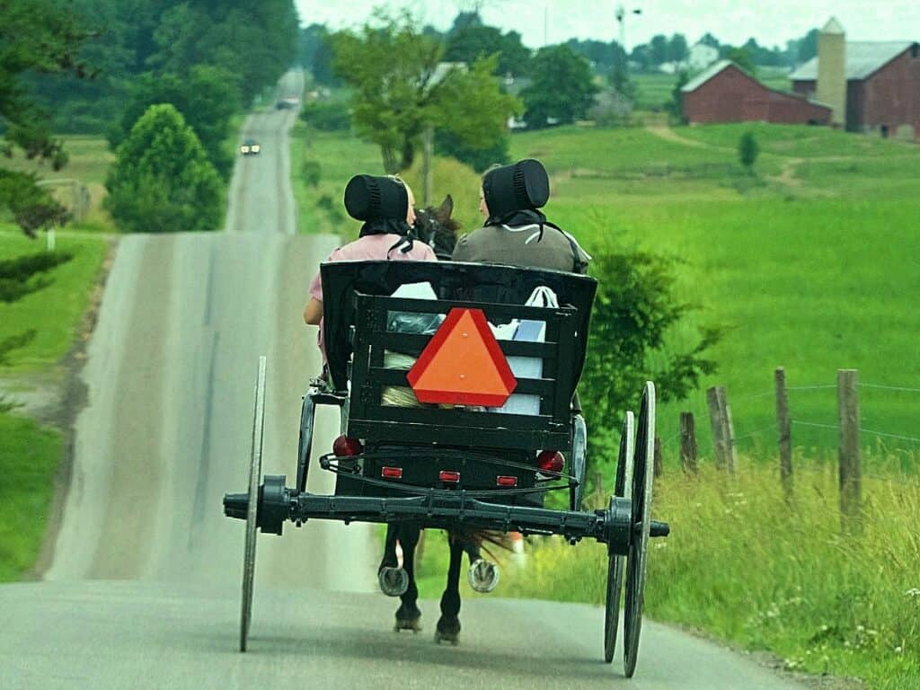 Amish women riding in an open buggy.