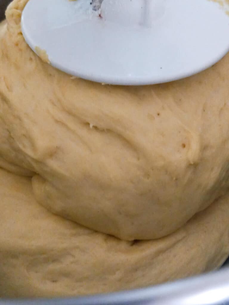 yeast dough in mixing bowl