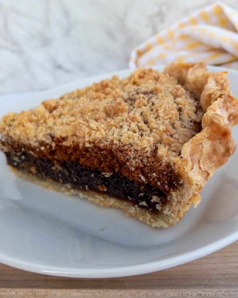 a slice of wet bottom PA Dutch shoofly pie on a plate