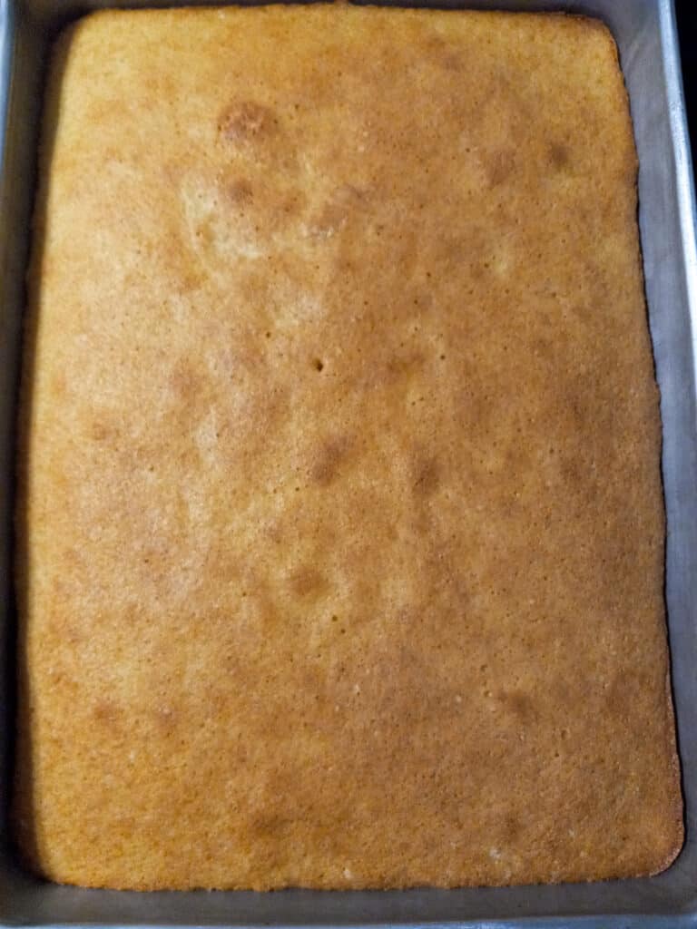baked shortcake in 9x13" pan
