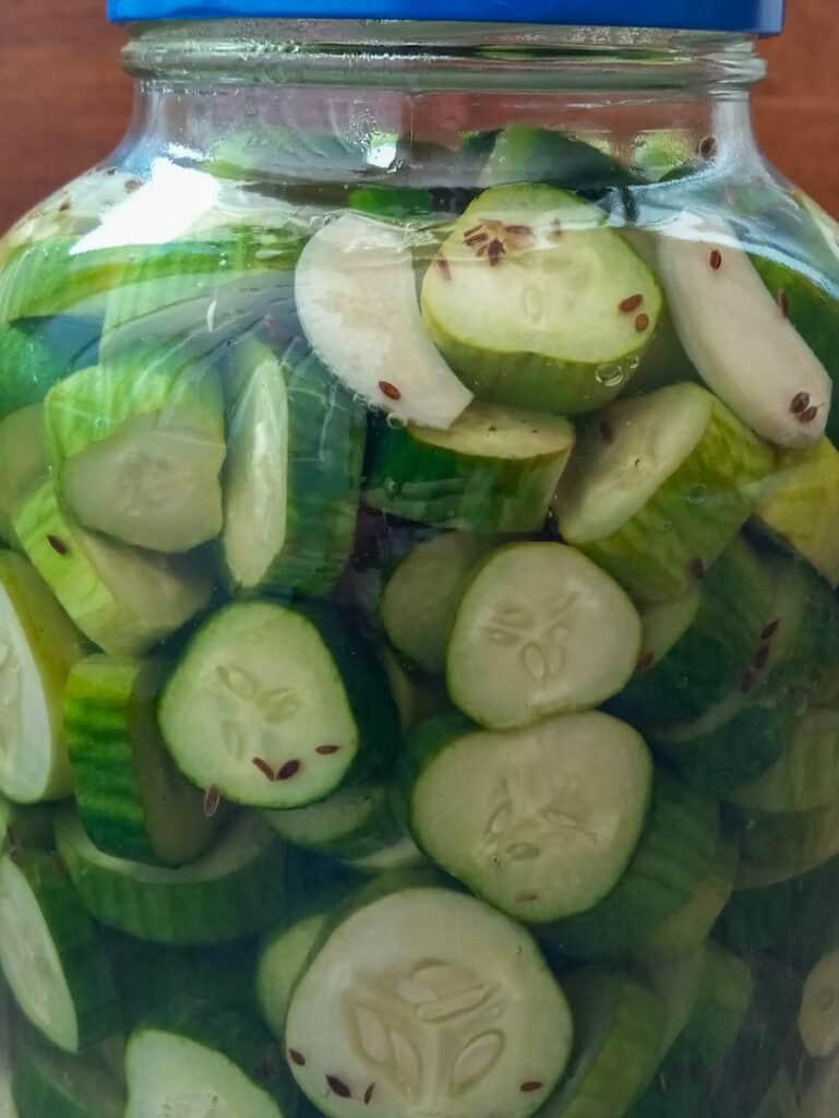 gallon jar full of cucumbers and brine to pickle