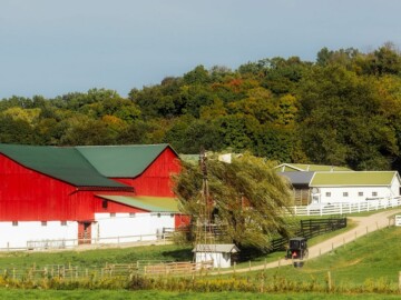 Do the Amish Use Electricity? - Amish Heritage