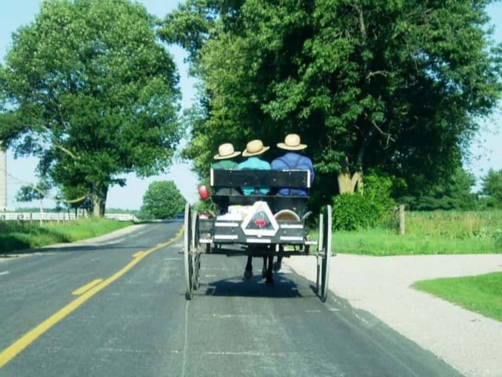 Amish men riding in an open buggy.