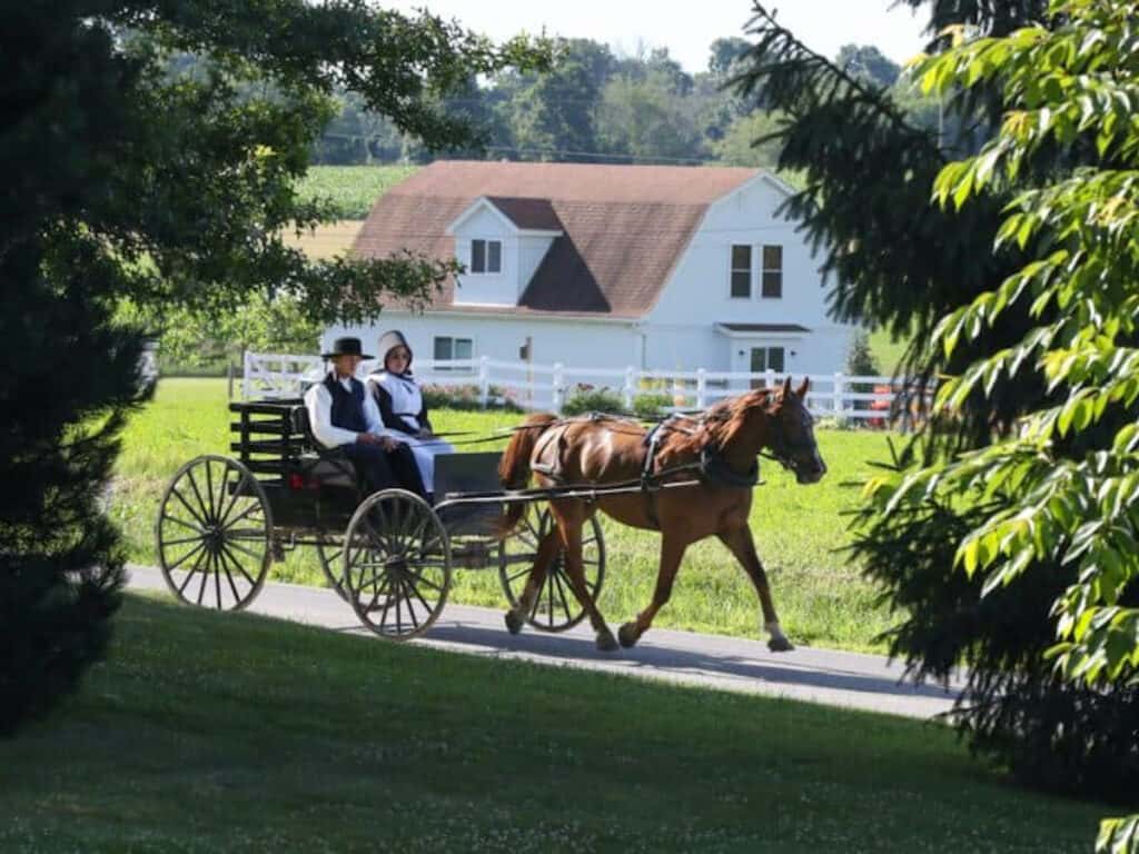 Amish open buggy with a young man and lady riding in it.