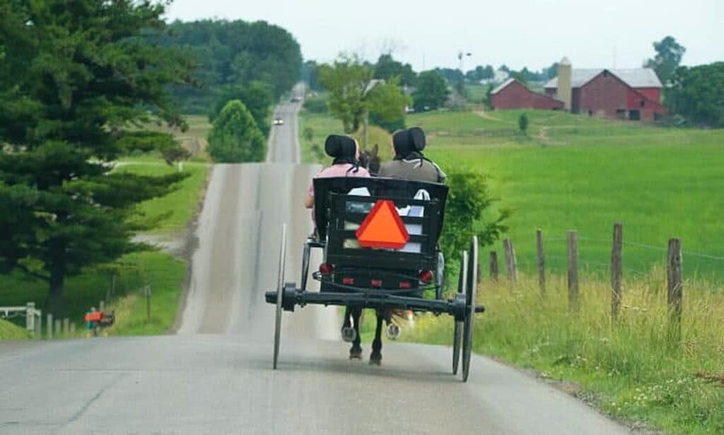 ladies riding in an open buggy.