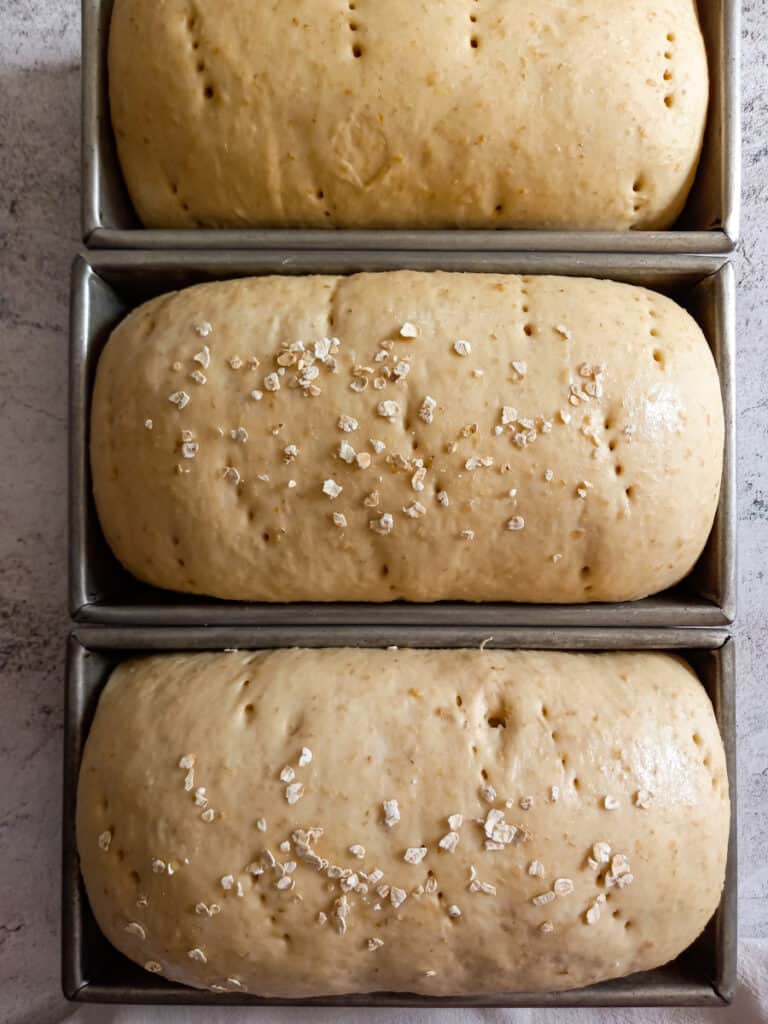 three loaves of oat bread are ready to bake.