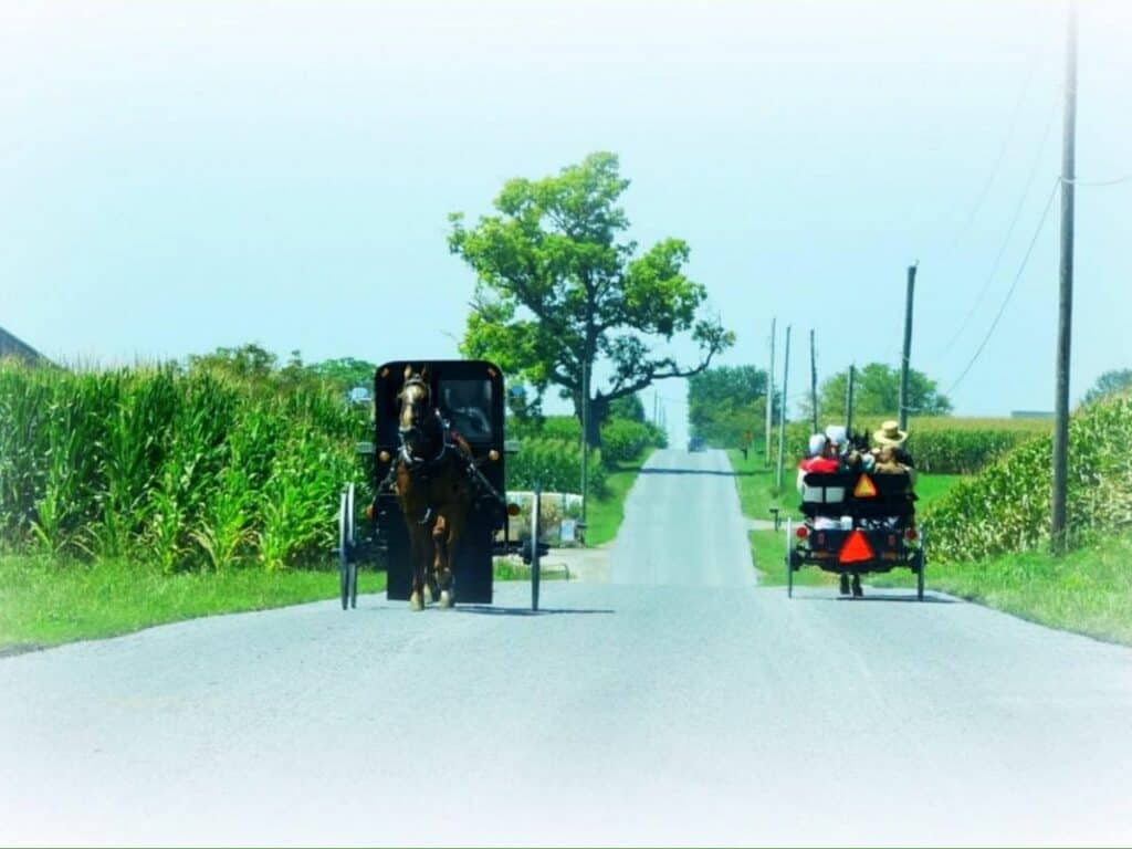 an open buggy and a closed buggy passing each other on the road.