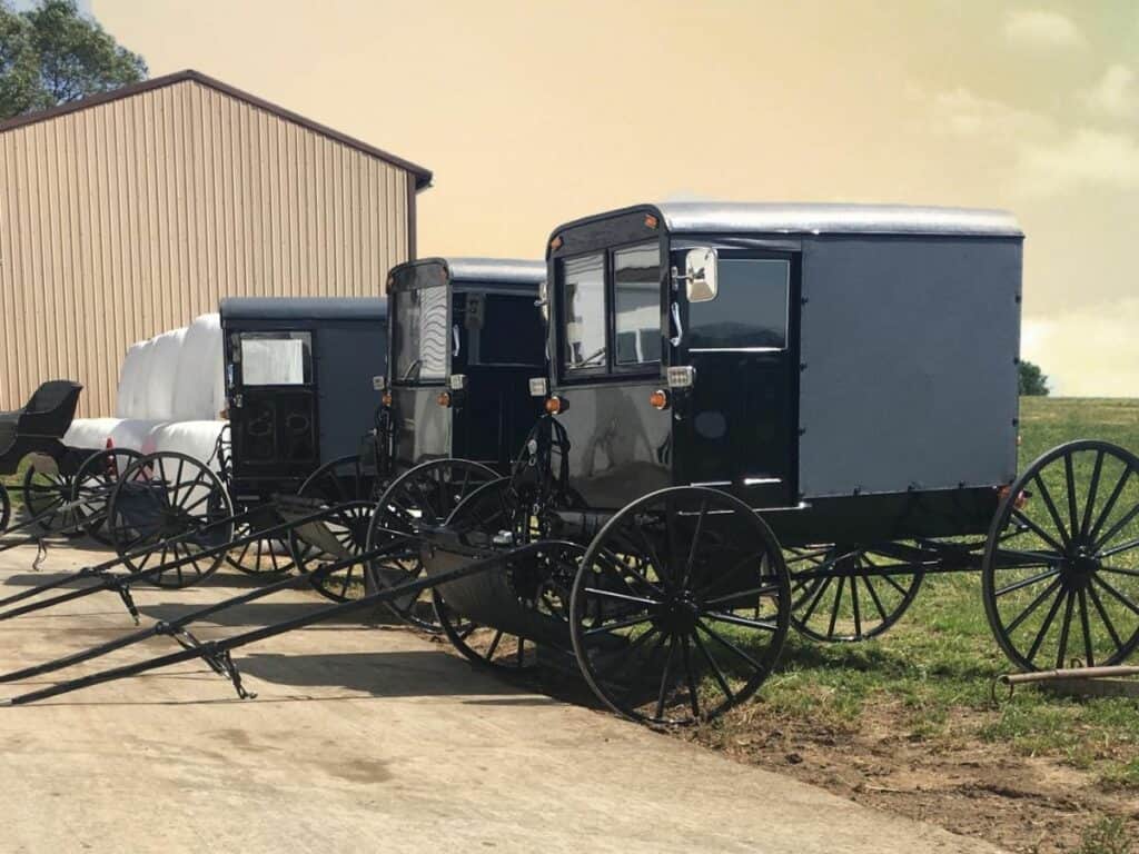 a line of Amish buggies by the barn.