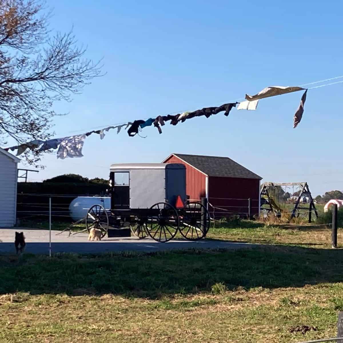 An Amish buggy in the yard, and clothes on the line. The question is "Can Amish marry non-Amish?"