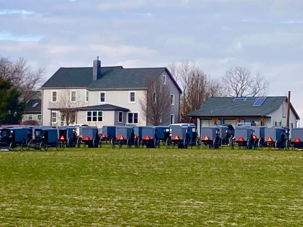A home with lots of buggies lined up in the yard. possibly there's an Amish wedding.
