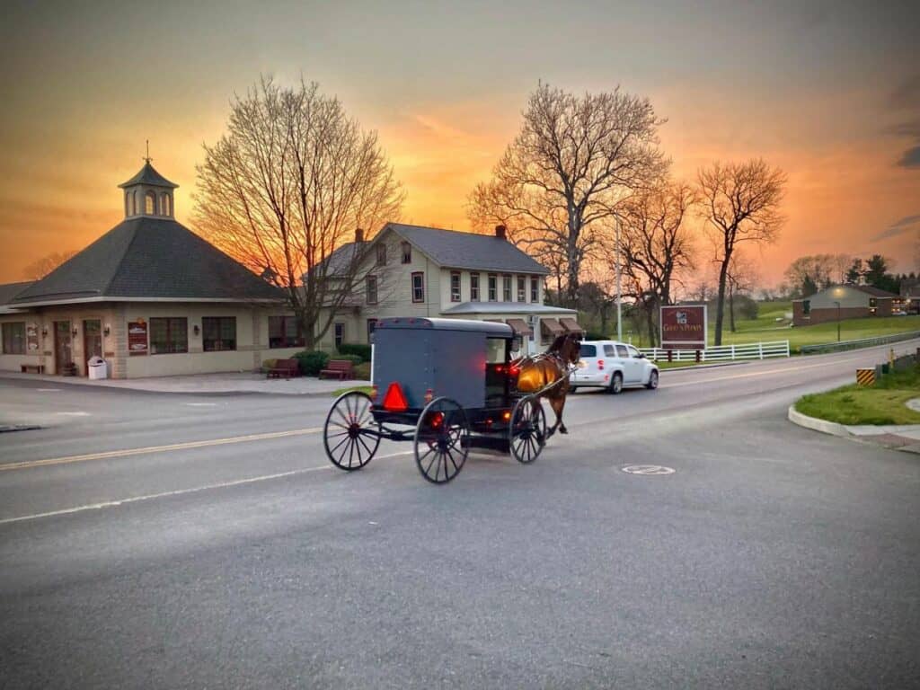 a beautiful sunrise and an Amish buggy passing by a place of business.
