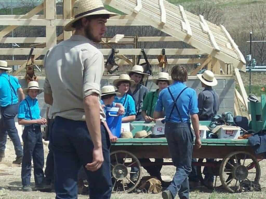 lots of Amish young men at a barn raising.