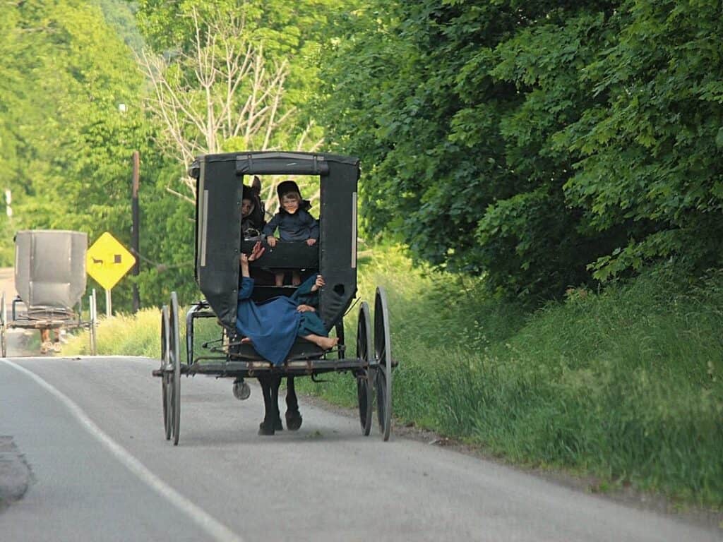 Amish people riding in a buggy, they do not marry outsiders.