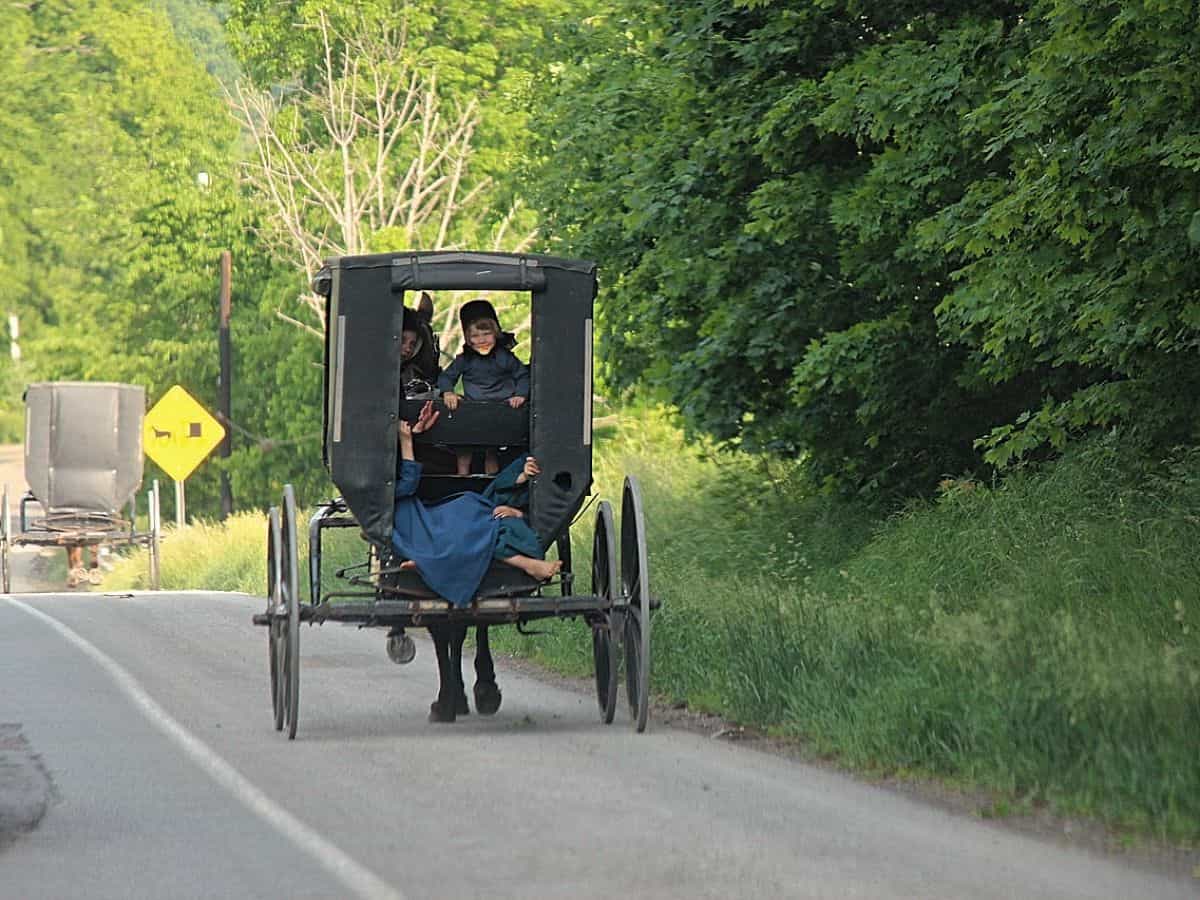Can Amish Marry NonAmish? Amish Heritage