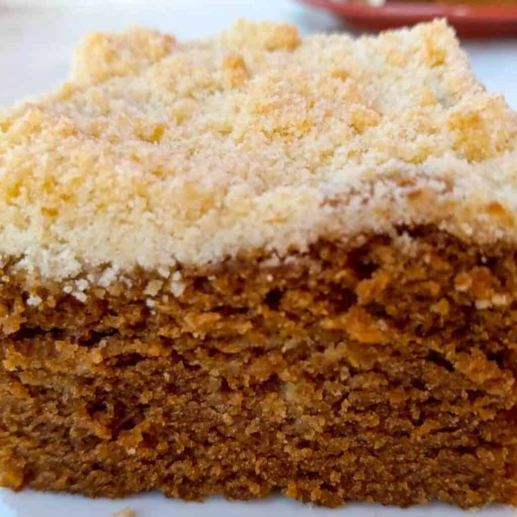 a slice of shoofly cake with crumb topping.