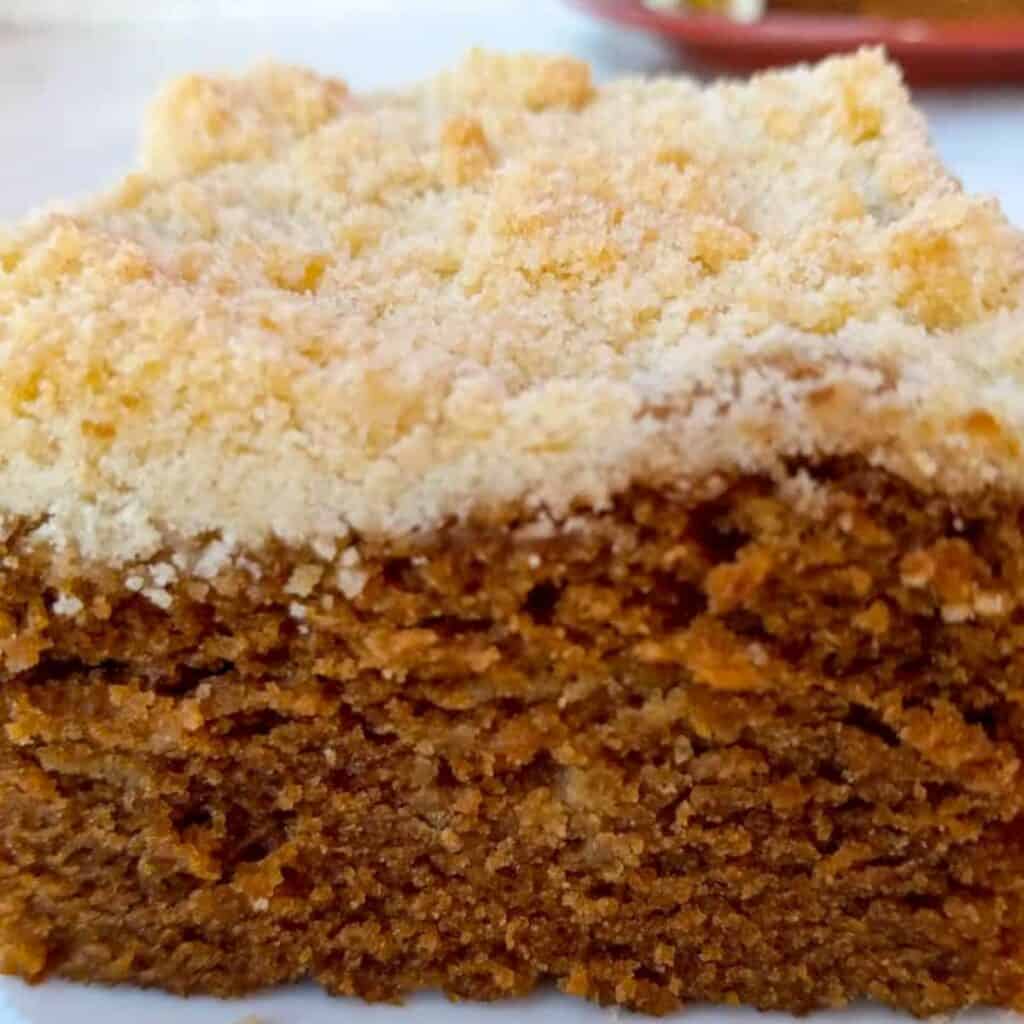 a close-up photo of a slice of shoofly cake with crumbs on top.