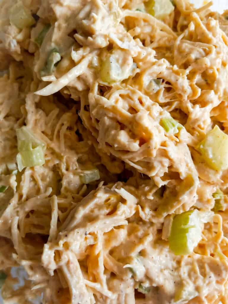 a close-up of a bowl of shredded chicken salad.