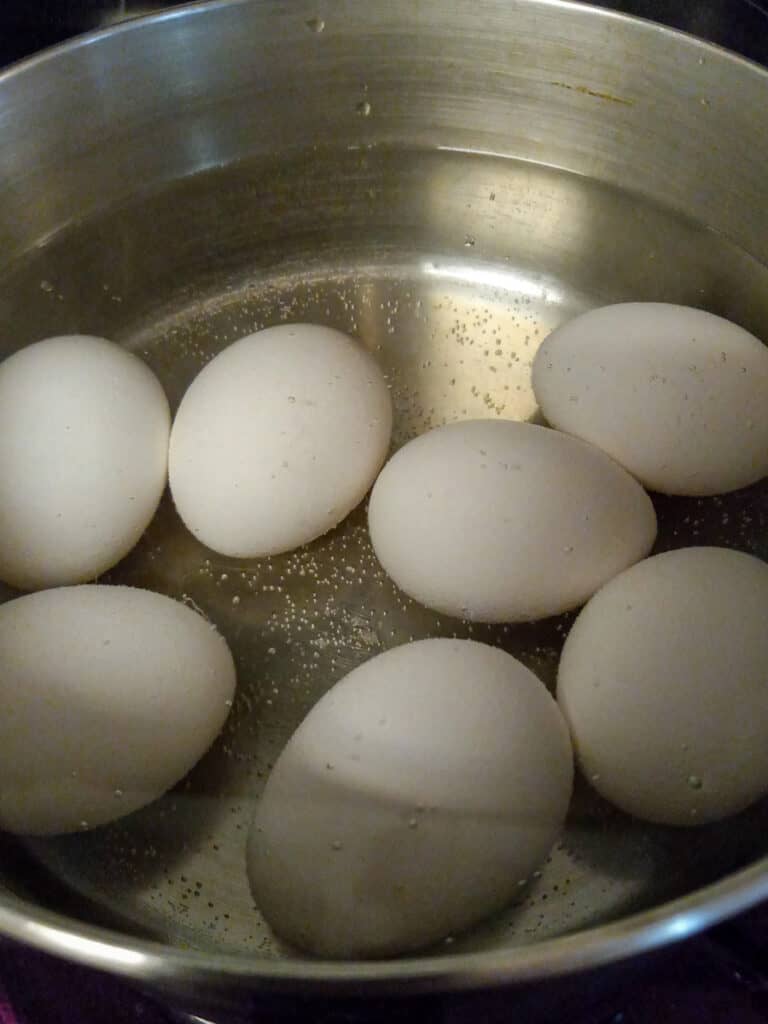 eggs in a pot of water.