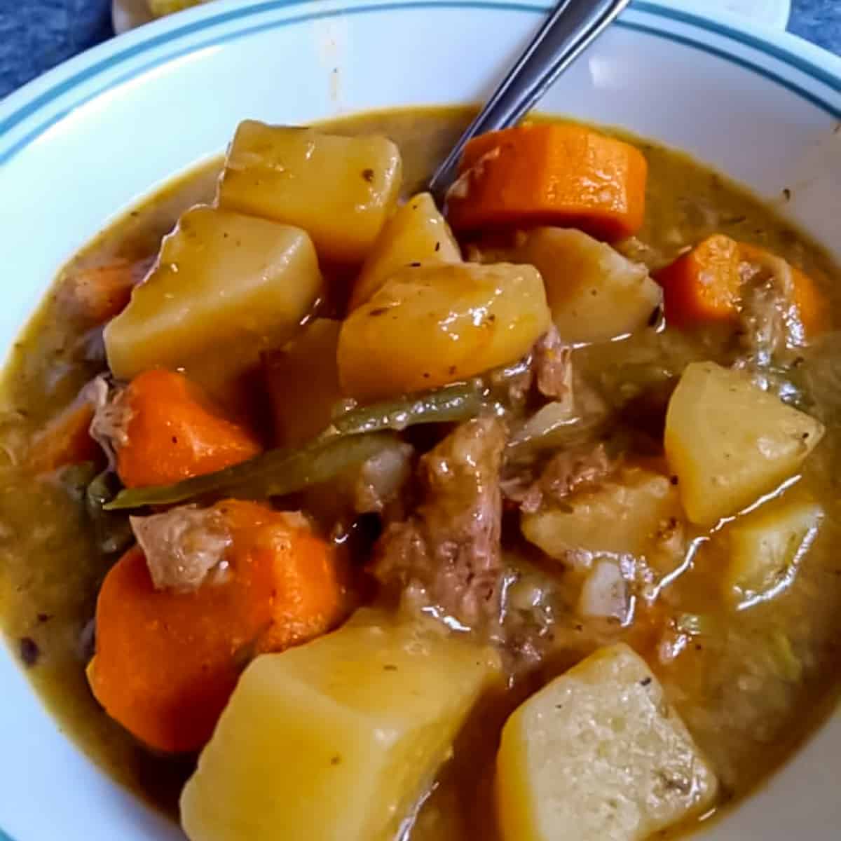 a bowl of Amish beef stew.