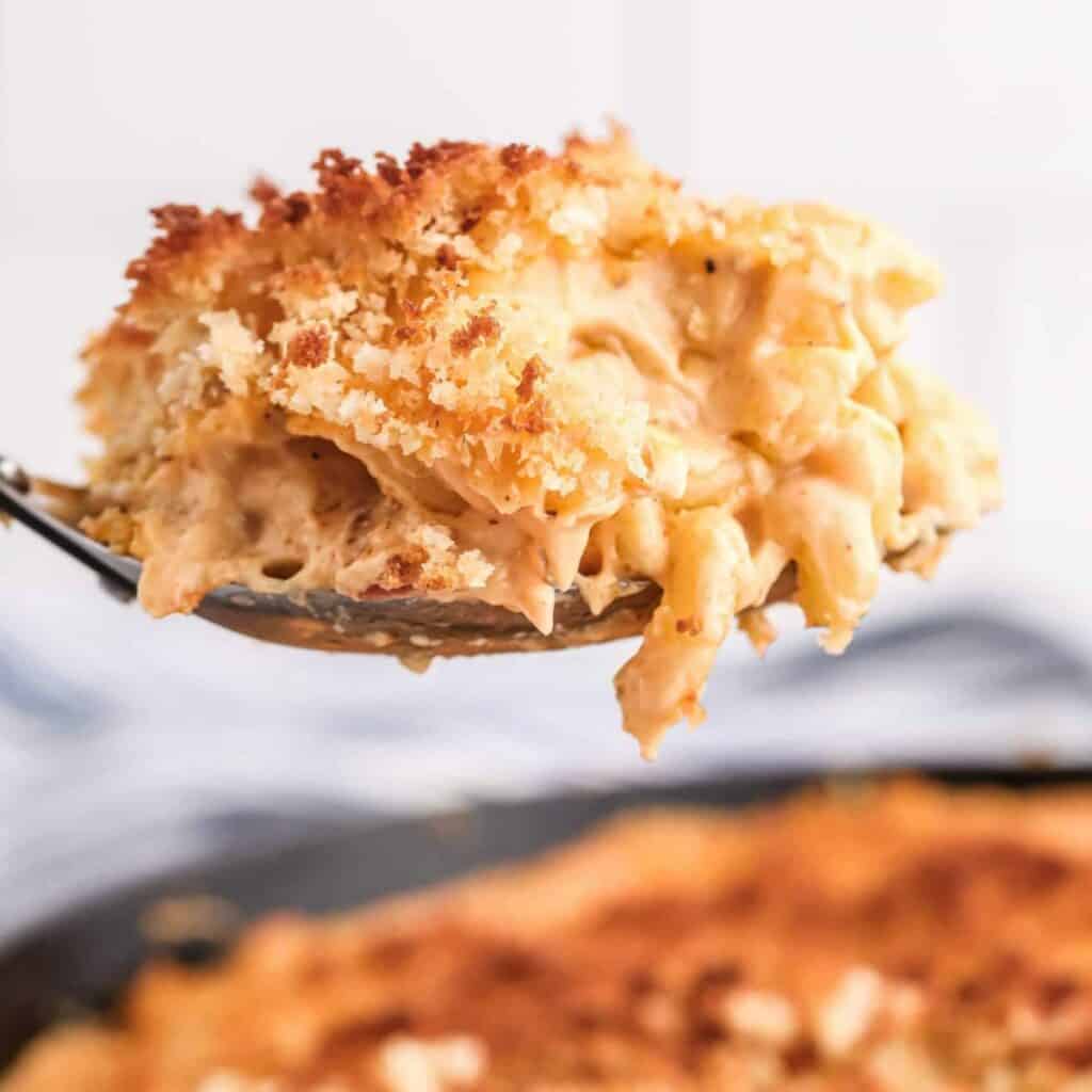 featuring mac and cheese on a serving spoon.