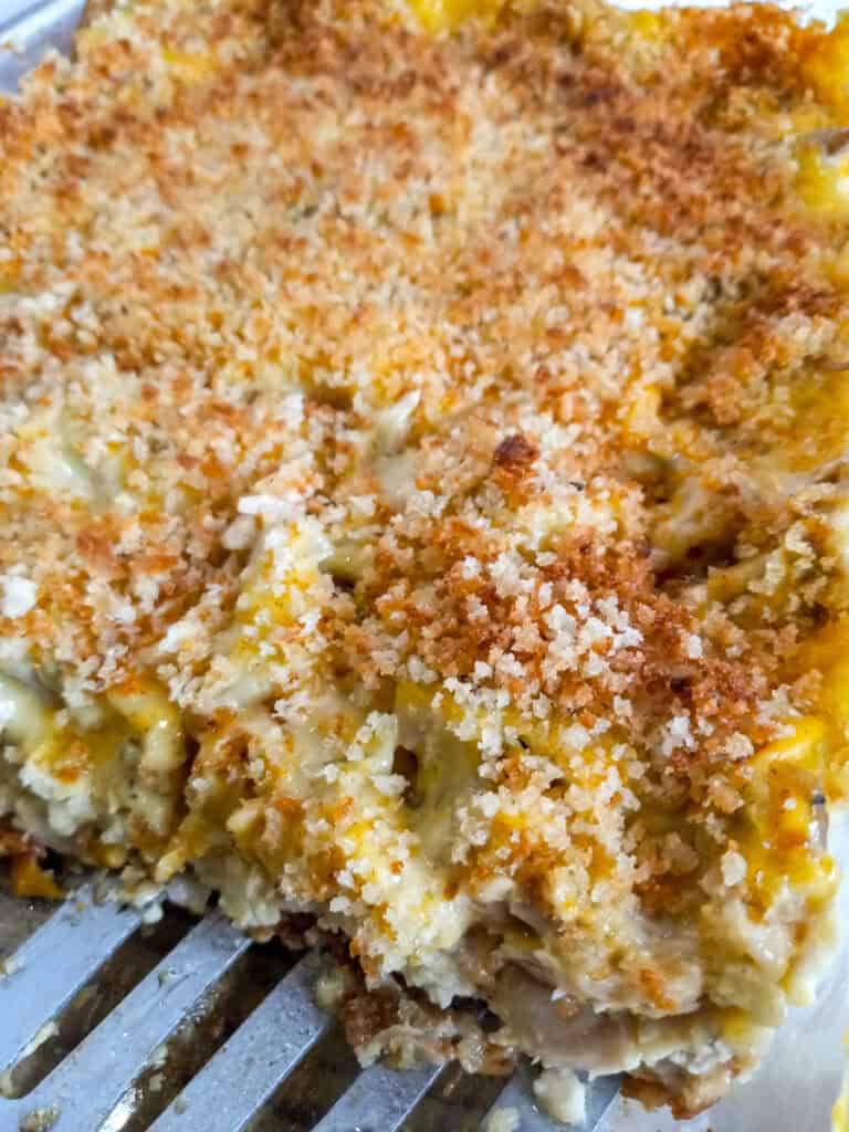 scooping chicken gumbo out of the dish.